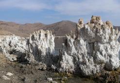 Van Gölü’ndeki çekilme sonrası mikrobiyalitler karaya çıktı