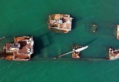 Yapay resife dönüşen gemi batıkları, balıklara ve deniz kuşlarına yuva oluyor