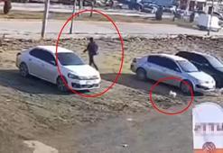 Horoz, sayaç okumaya gelen görevliyi kovaladı; o anlar kamerada