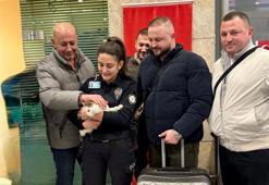 Yurt dışına çıkan sahibinin, otoparktaki aracında kilitli bıraktığı kedi kurtarıldı