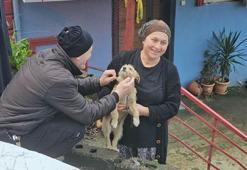 Çöp konteynerinin yanına bırakılan yavru köpeği sahiplendiler