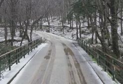 Doğa Koruma ve Milli Parklar Genel Müdürü Çokçetin'den Belgrad Ormanı paylaşımı