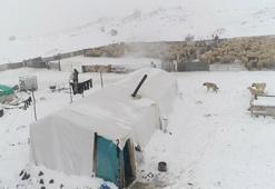 Elazığ’da, göçerlerin zorlu kış şartlarında yaşamı