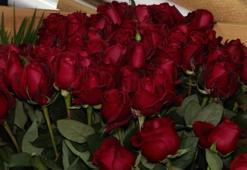 Çiçekçilerde Sevgililer Günü mesaisi: En çok kırmızı gül satılıyor; fiyatları 200 - 250 lira arasında değişiyor