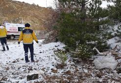 Ceset sandılar, cansız manken çıktı