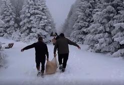 Karla kaplı Uludağ'da yaban hayvanları için yem bırakıldı