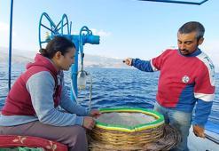 Balıkçılık, 9 yıllık evli çiftin yaşam tarzı oldu