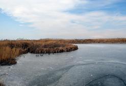 Van Gölü sahillerinde su kısmen dondu