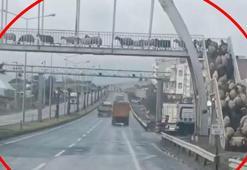 Küçükbaşlar, üstgeçidi kullandı; o anlar kamerada