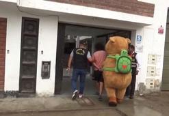 Peru’da polis, uyuşturucu satıcısını kapibara kostümü giyerek yakaladı