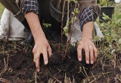 Şehir peyzajlarına bakanlık standardı geliyor