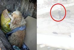 Ayaklarını bağladığı köpeği çöp konteynerine attı; o anlar kamerada