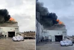 Edirne'de fabrika yangını