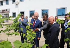 YÖK Başkanı Özvar: Tarımda dijital teknolojilere dayalı programlar hedefimiz