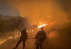 Karşıyaka yangını davasında tanık orman muhafaza memuru : Alevlere müdahale ederken karşıma yanmış jeneratör çıktı