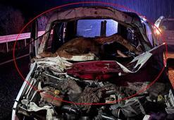 Hafif ticari aracın çarptığı at, ön camdan içeri girdi; sürücü ağır yaralı