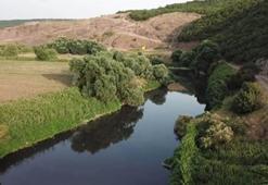 Doç. Dr. Karadurmuş: Hayati öneme sahip nehirler, toksik su yollarına dönüştü