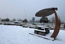 Yurtta kar yağışı etkili oldu; birçok il ve ilçede eğitime ara verildi