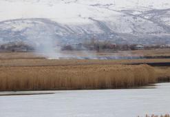 Onlarca kuş türüne ev sahipliği yapan Dilkaya Sazlığı’nda yangın