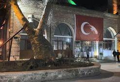 Tarihi caminin bahçesindeki 550 yıllık çınar ağacı, kökünden çıkarak devrildi