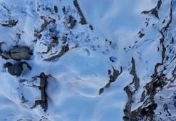 Erzincan’da kaçak avcı doğa fotoğrafçısının kamerasına yakalandı