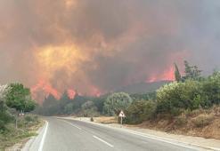 Gelibolu Yarımadası'nda çıkan yangının ekosisteme verdiği zarar araştırılacak