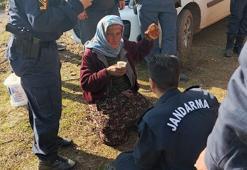 Hayvan otlatmak için gittiği ormanda kayboldu, 16 saat sonra bulundu
