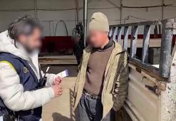 İzinsiz göçmen çalıştıran iş yeri sahiplerine ceza