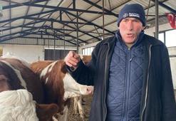 Dondurucu soğukta yarı açık ahırda hayvancılık yapıyor