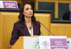 DEM Parti'li Hatimoğulları: Çatışmasızlık zemininin oluşturulması gerekiyor