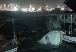 Hatay'da fırtına; tekneler alabora oldu, ağaçlar devrildi