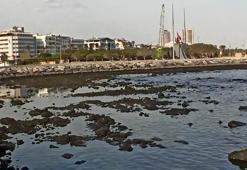 İskenderun'da fırtınanın ardından deniz suyu çekildi