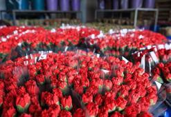 Avrupalı kadınların çiçeği Antalya'dan