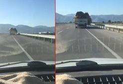 Tahta ve tomruklar yola saçıldı; şoför aldırmadan devam etti