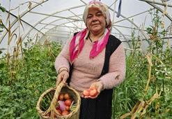 Eşi kaza geçirince çiftçiliğe başladı, hem çocuklarını büyüttü hem de evi geçindiriyor