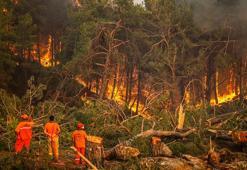 2024'te ihmal, dikkatsizlik, kasıt ve kazadan 1956 orman yangını çıktı