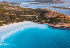 Avustralya'da köpek balığının saldırdığı sörfçü kayboldu