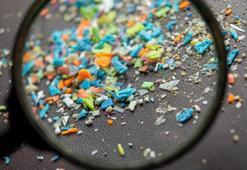 Araştırma: Havadaki mikroplastik kirliliği kuşların akciğerlerinde birikiyor