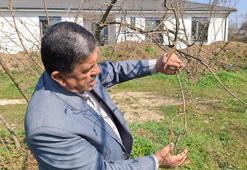 Fındık üreticisine 'don' uyarısı