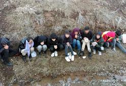 Bitlis’te 10 kaçak göçmen yakalandı