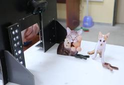 Yapay zeka destekli ‘Solo Pati’ ile kedilere akıllı giriş kapısı
