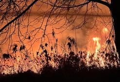 Bursa’da İznik Gölü kıyısında sazlık yangını
