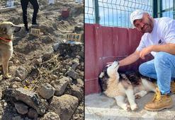 Yangında ölen hayvanseverin köpekleri sahiplendirildi