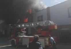 Bolu'da kereste fabrikasındaki yangın kontrol altında