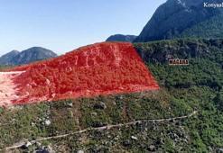 Kalker ocağı hakkında kaçak ağaç kesimi şikayeti