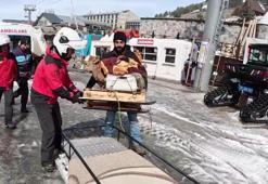 Jandarma buzağıyı kar motosikletiyle taşıdı