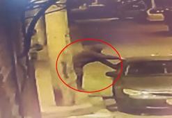Park halindeki otomobilin camını kırdılar; o anlar kamerada