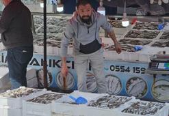 10 ton balıkla döndü, kilosunu 50 liradan satışa çıkardı