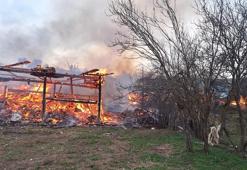 Kastamonu'da korkutan yangın: 3 ev, 6 ahır, 9 samanlık ve 2 ambar kullanılamaz hale geldi