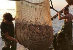 Av sezonu iklim değişikliğinden etkilendi; balıkçılar limana erken döndü